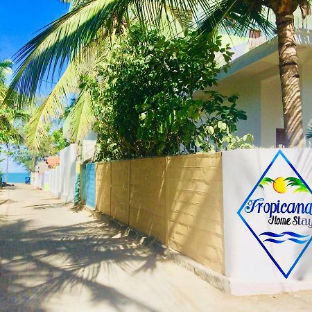 Tropicana Home Stay Arugam Bay Exterior foto