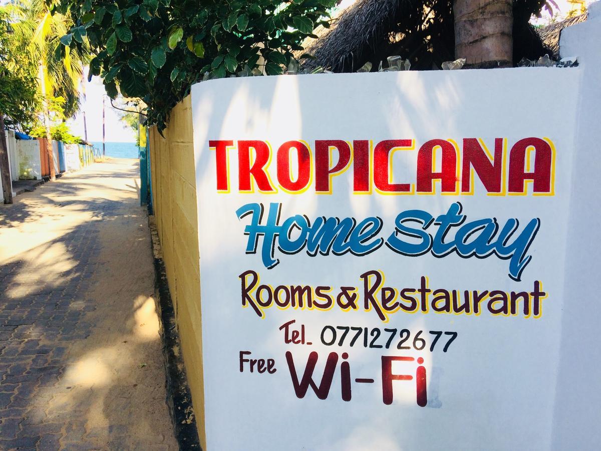 Tropicana Home Stay Arugam Bay Exterior foto